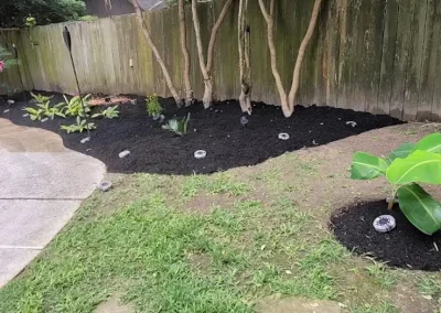 Affordable Landscape Services