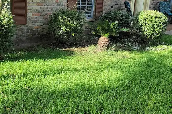 Lawn Care