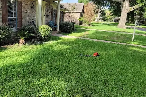 Lawn Maintenance