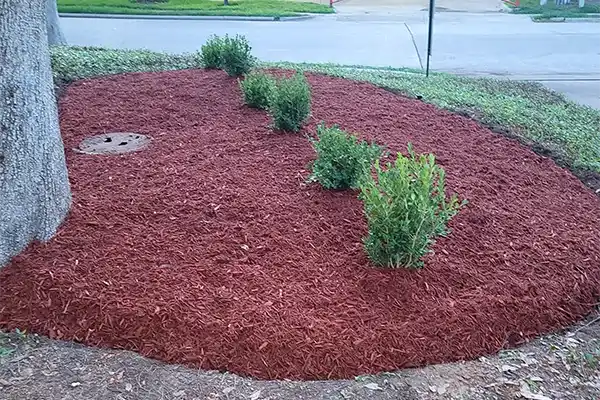 Mulching