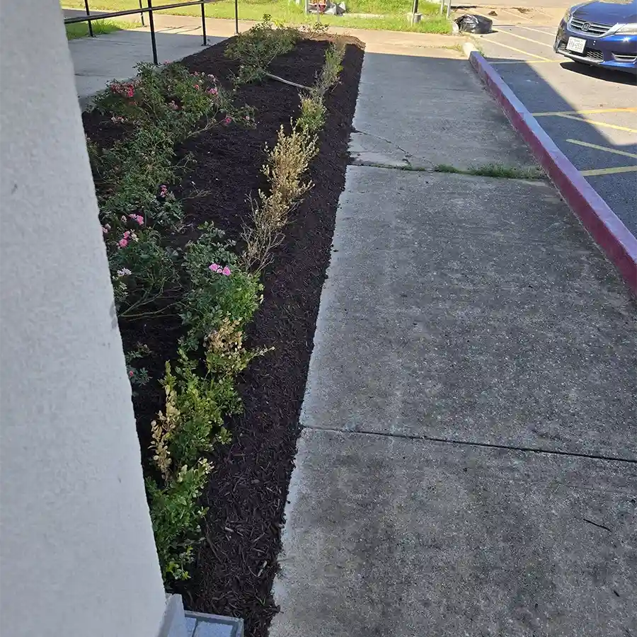 Professional Landscape Services