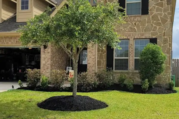 Professional Landscape Services