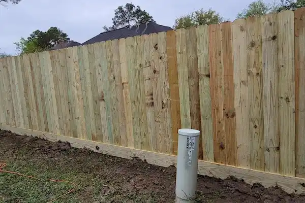 Professional Landscape Services