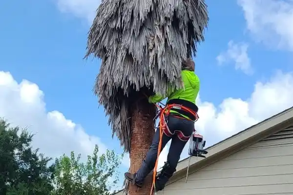 Professional Landscape Services