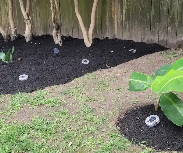 Professional Landscape Services