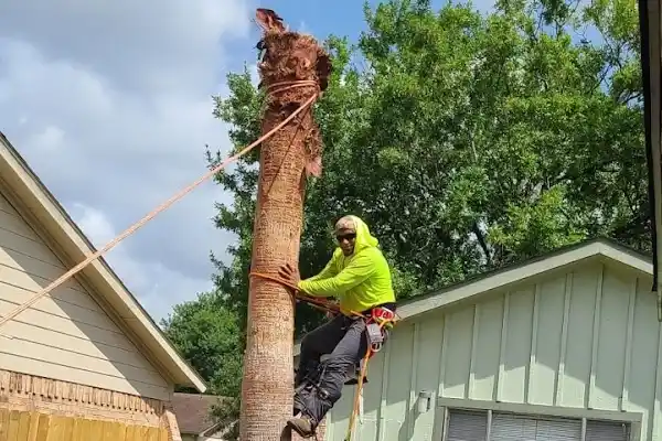 Roses Landscaping's Other Services