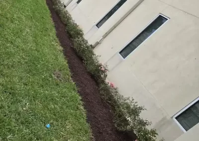 Skilled Landscape Contractor