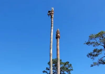 Skilled Landscape Contractor