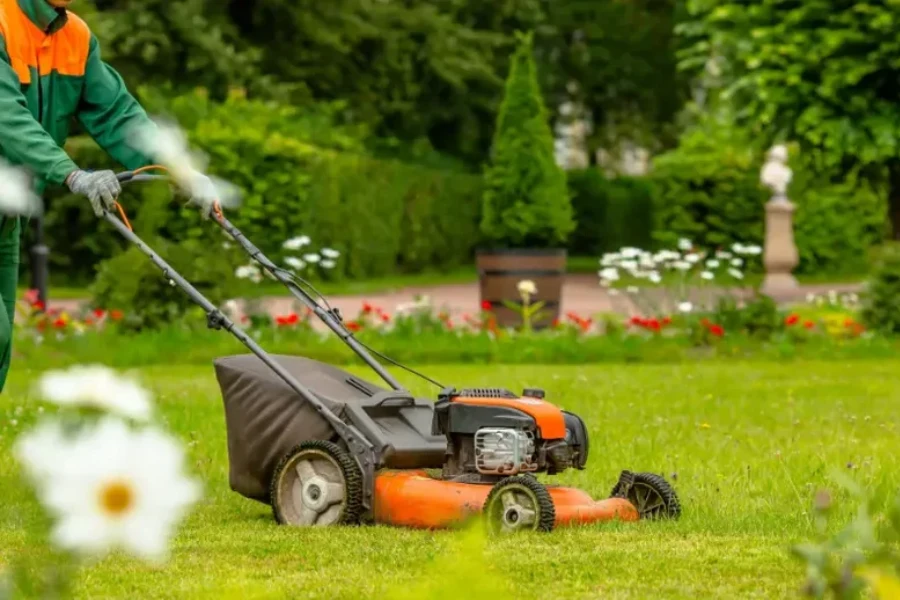 Affordable Lawn Maintenance Webster, TX