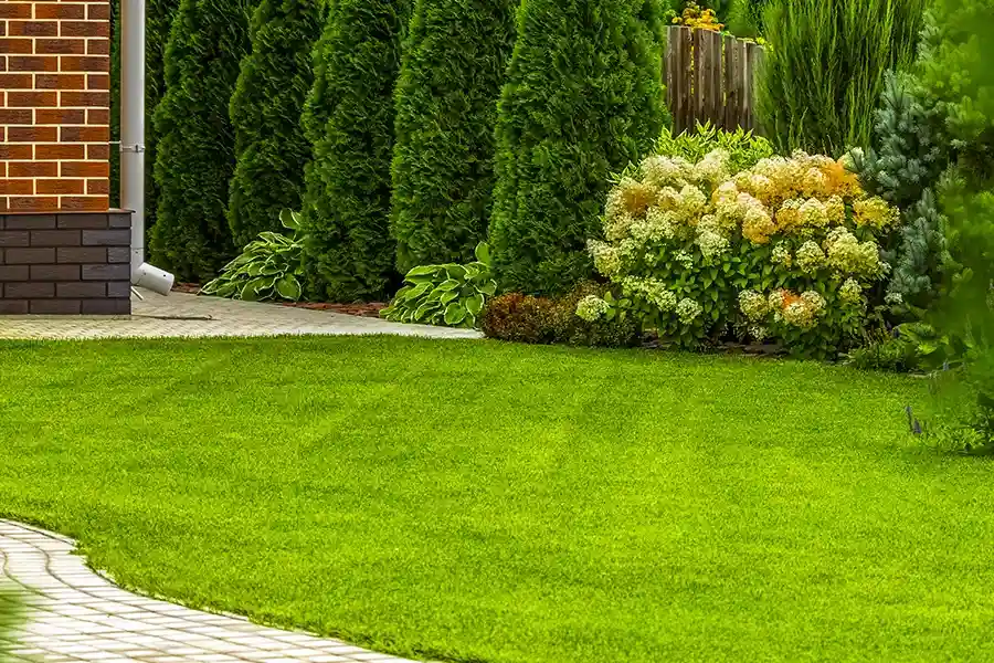 Experienced Lawn Care Webster, TX