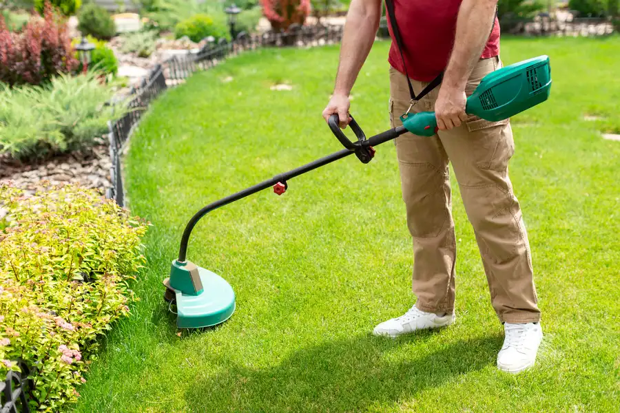 Expert Lawn Care Webster, TX