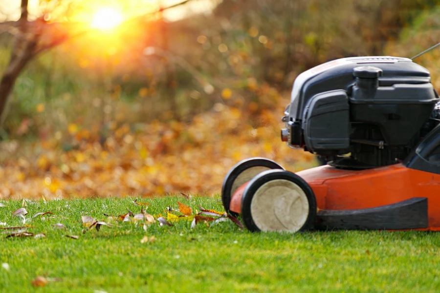 Seasonal Lawn Care Tips For A Healthy, Vibrant Yard in Webster, TX