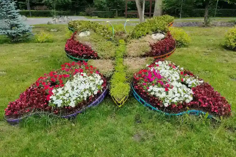 Step-by-step Process Of A Successful Landscape Installation in Webster, TX